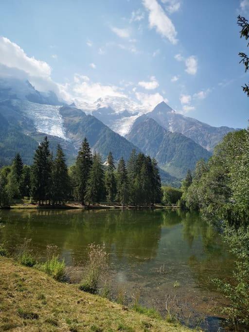 Appartement Chamonix, De 24 M2 *
